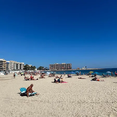 Apartman With Rooftop Pool 150 M From The *