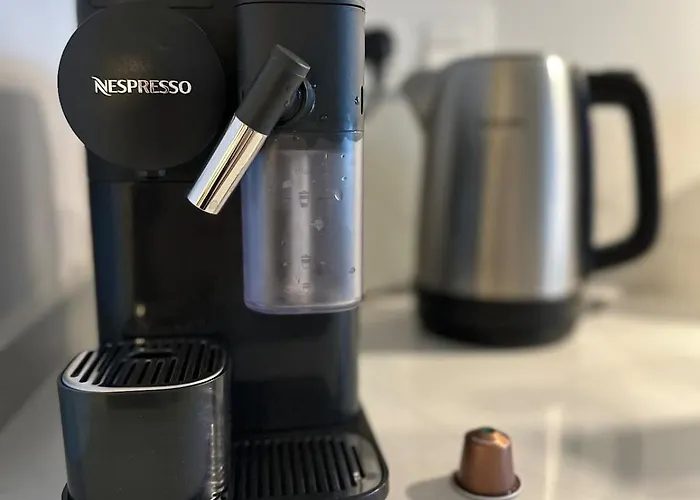 With Rooftop Pool 150 M From The Apartman Torrevieja